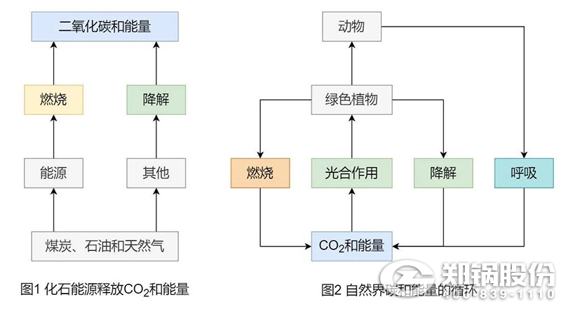 為什么說生物質能是“零碳”能源1.jpg