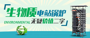 生物質(zhì)電站 -- 中國電力工業(yè)結(jié)構(gòu)調(diào)整新方向