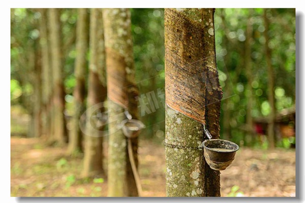 五噸燃煤鍋爐性能參數(shù)有哪些？